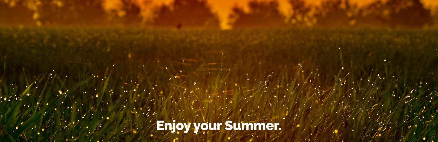 Enjoy your Summer - Fireflies