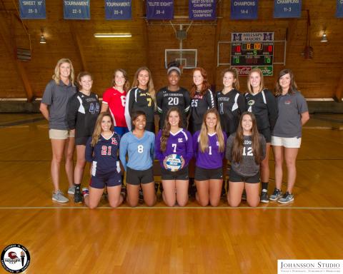 2017 Volleyball All-Stars