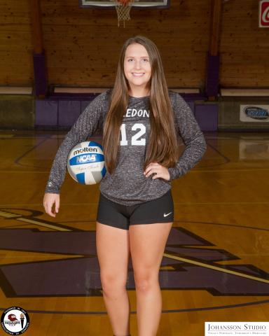 2017 Volleyball All-Stars