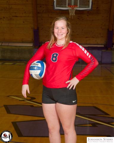 2017 Volleyball All-Stars