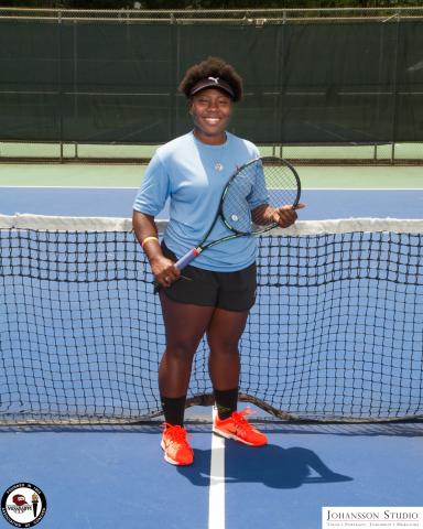 2017 Tennis All-Stars