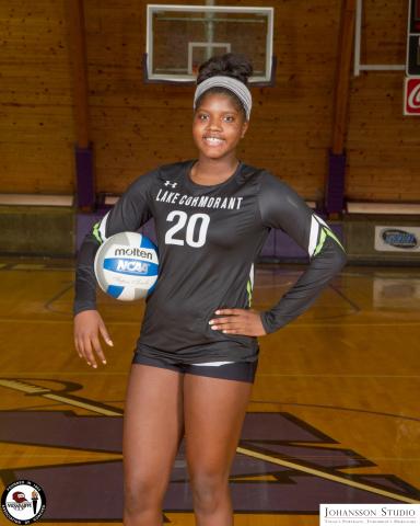 2017 Volleyball All-Stars