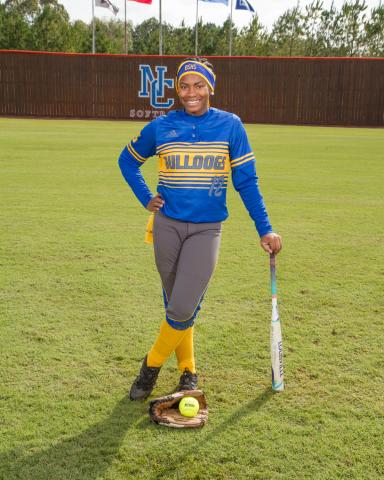2017 Slow Pitch Softball All-Stars