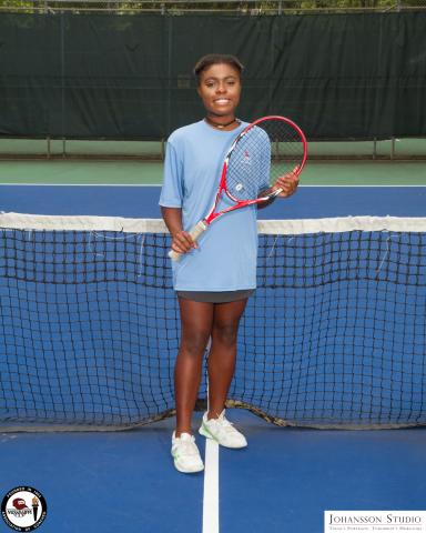 2017 Tennis All-Stars