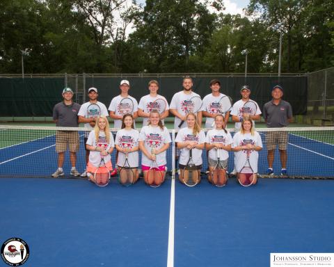 2017 Tennis All-Stars
