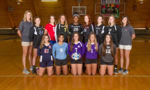 2017 Volleyball All-Stars