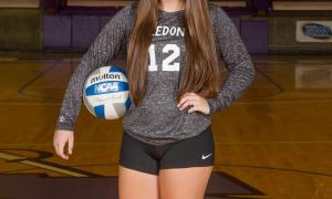 2017 Volleyball All-Stars