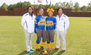 2017 Slow Pitch Softball All-Stars