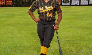 2018 Fast Pitch Softball All-Stars