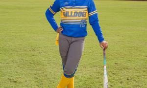 2017 Slow Pitch Softball All-Stars