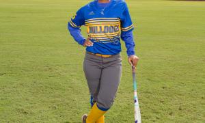 2017 Slow Pitch Softball All-Stars